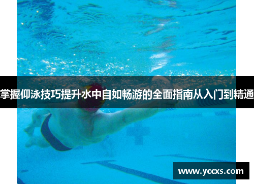掌握仰泳技巧提升水中自如畅游的全面指南从入门到精通