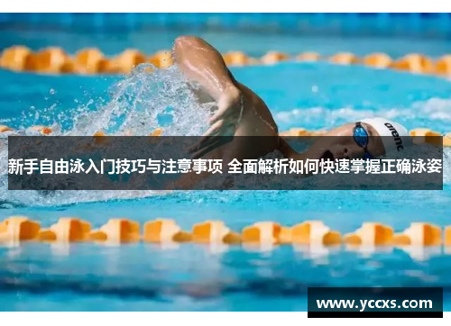 新手自由泳入门技巧与注意事项 全面解析如何快速掌握正确泳姿